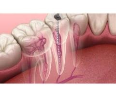 McClane Dentistry